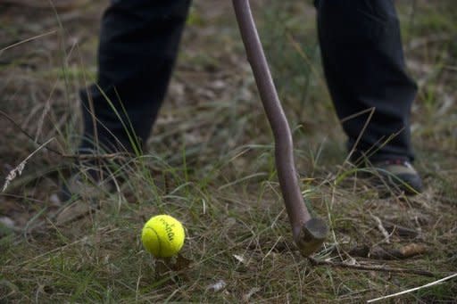 A preapres to hit a tennis ball during a golf tournament in a forest near Uvaly village, east of Prague. A group of Czech "forest golfers" have pioneered a novel approach to an extreme form of golf in the wilds of Bohemia on terrain that would usually be out of bounds on a regular course