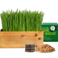 <p><a href="https://thecatladies.com/products/cat-grass-kit-organic-complete-with-rustic-wood-planter-seed-and-soil" rel="nofollow noopener" target="_blank" data-ylk="slk:Shop Now;elm:context_link;itc:0;sec:content-canvas" class="link ">Shop Now</a></p><p>Cat Grass Kit</p><p>$28.99</p><p>thecatladies.com</p>
