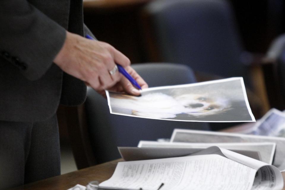 Assistant Prosecutor Michele Miller holds a photo of Honey Bey, a Shih Tzu dog, during Haniyyah Barnes' court appearance, Tuesday, April 29, 2014, in Newark, N.J. The Star-Ledger of Newark reports that Barnes, pleaded guilty Tuesday to breaking into her neighbor's home, grabbing the 2-year-old Shih Tzu and throwing the dog into oncoming traffic in August 2011, where she was struck by a vehicle and killed. Barnes will be sentenced on July 14. (AP Photo/The Star-Ledger, Patti Sapone, Pool)