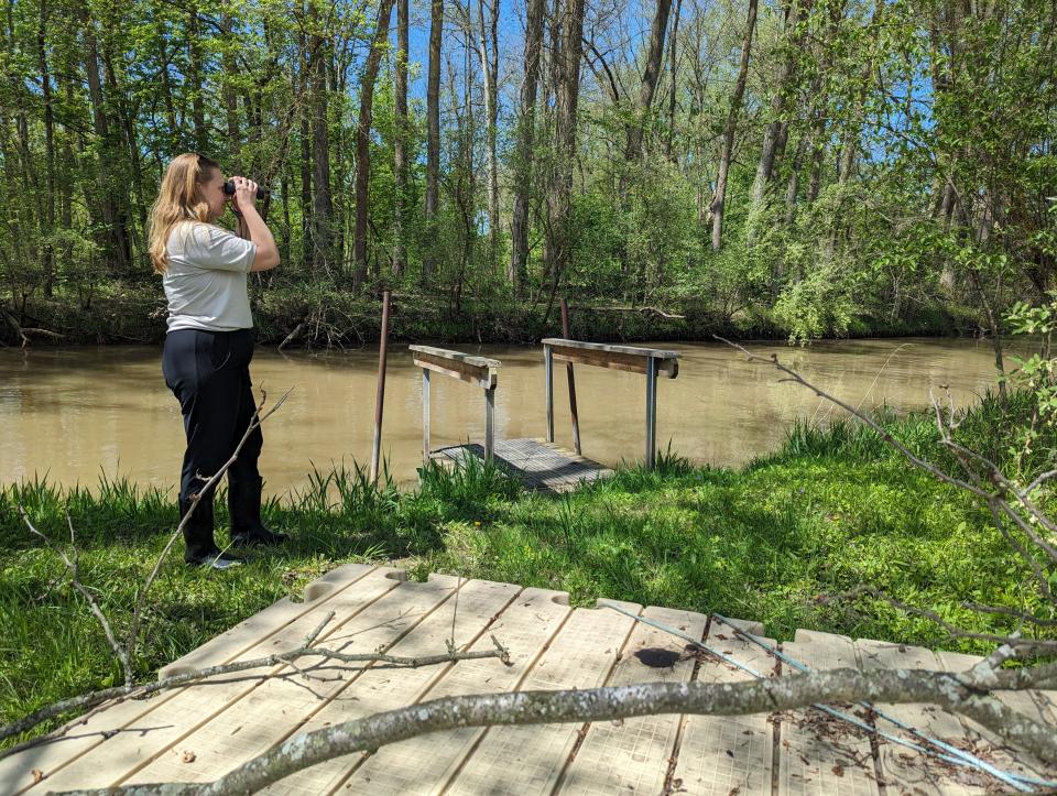 Sandusky County Park District Interpretive Naturalist Sarah Chong showed off Decoy Marsh park, for an exclusive tour, the day before it officially opened for the season. The park is only open to the public in May. This is the dock on Green Creek.