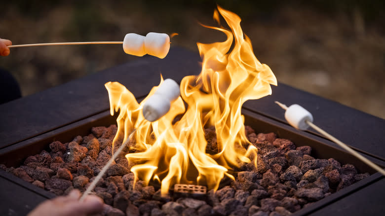 roasting marshmallows over fire