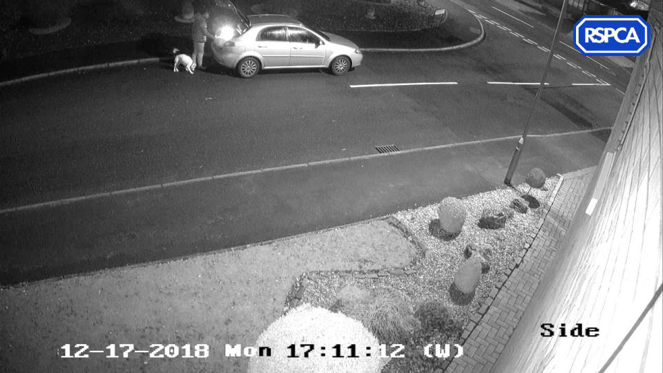 CCTV screengrab issued by the RSPCA of a man abandoning a Staffordshire bull terrier in Trentham. (PA).