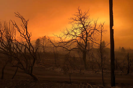 A blackened landscape is shown from wildfire damage near Keswick, California, U.S., July 27, 2018. REUTERS/Alexandria Sage