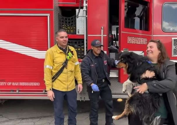 PHOTO: An Australian Shepherd named Seamus is lucky to be alive after he was swept away by floodwaters in San Bernardino, California, only to be reunited with his owner hours later thanks an Apple AirTag that helped locate him on Monday, Jan. 16, 2023. (San Bernardino County Fire / Facebook)