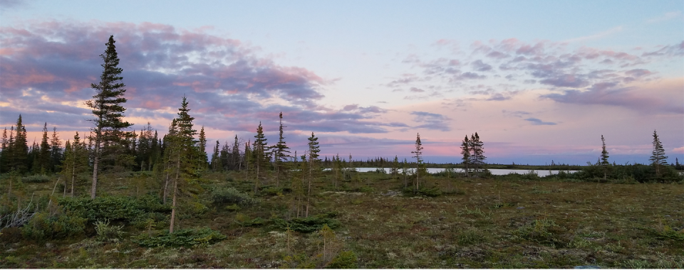 The Hudson Bay Lowlands sit at the intersection of several key ecological zones including the boreal and subarctic landscapes. (Vito Lam), Author provided