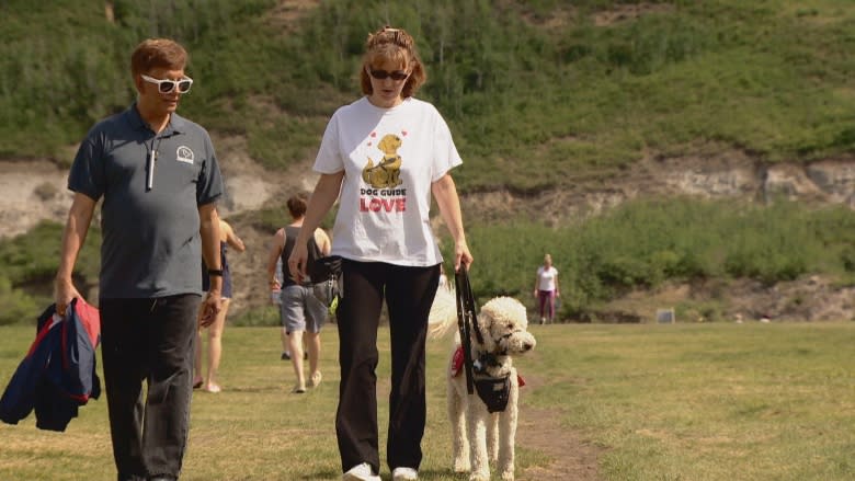 Edmonton dog walk raises funds to provide 'life-changing' service dogs for free