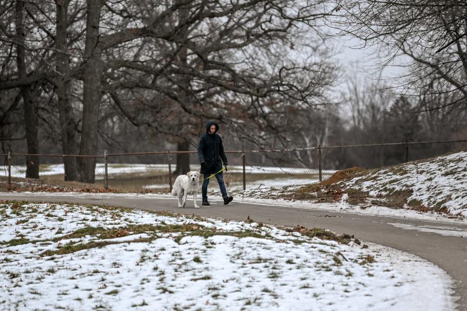 A Bancroft Park patron walks their dog along a path on Wednesday, Jan. 19, 2022, in Lansing. Lights at the park were recently removed upsetting many evening park users.