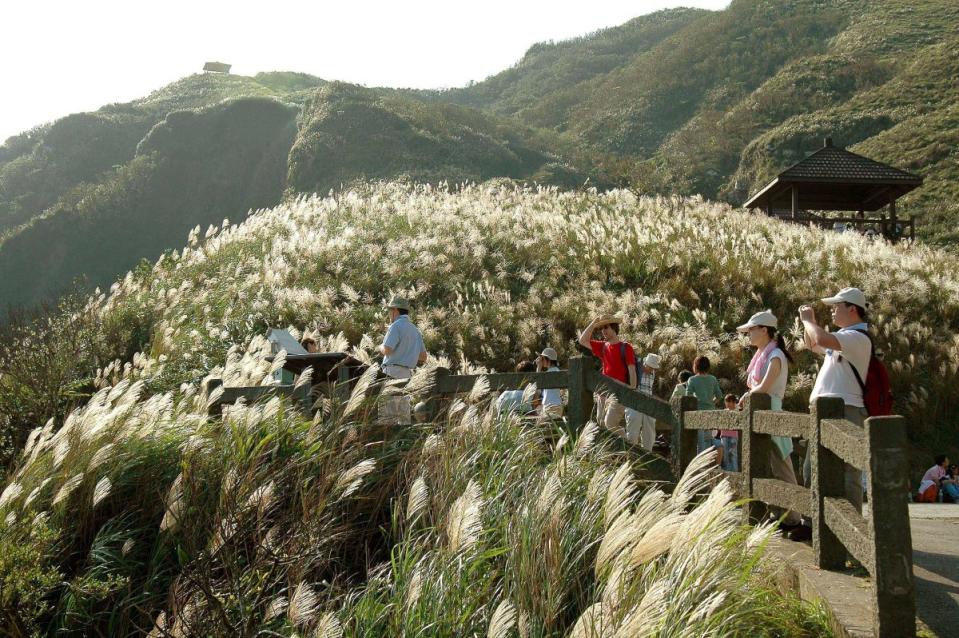 （圖片來源：東北角暨宜蘭海岸國家風景區）