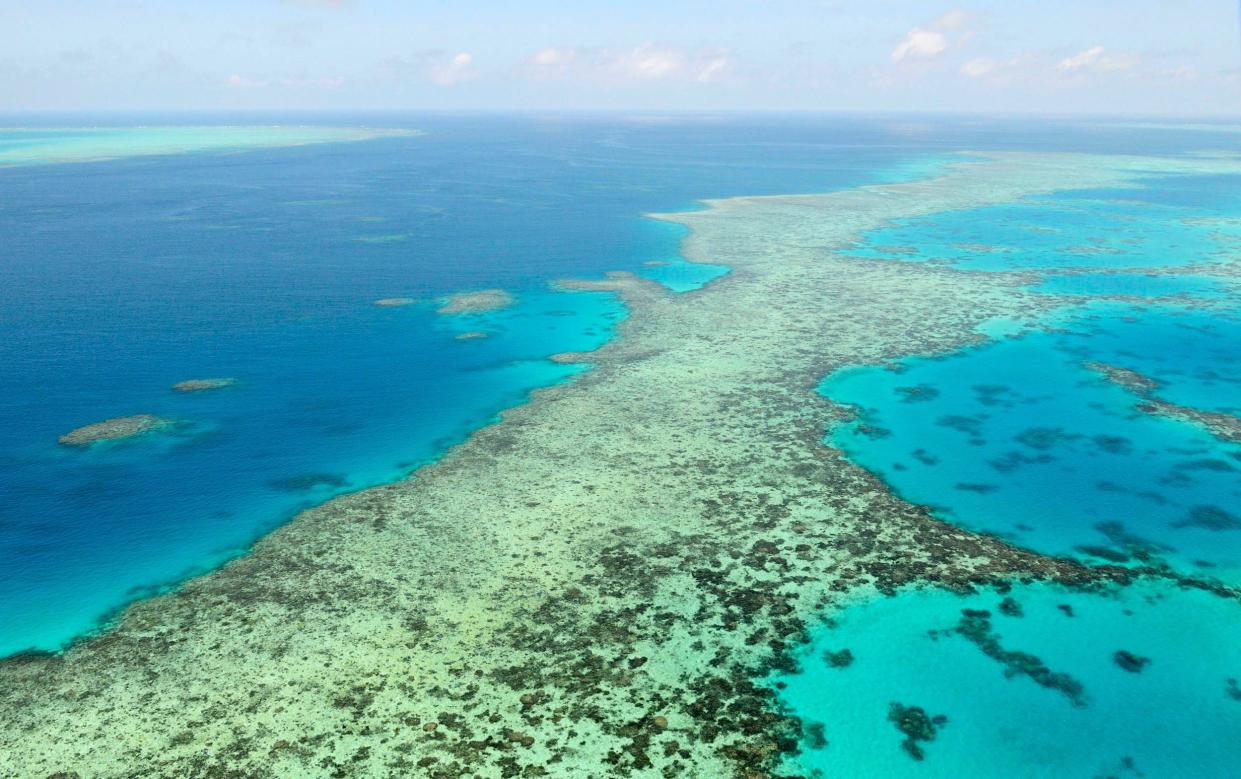  Great Barrier Reef - Kyodo News via AP