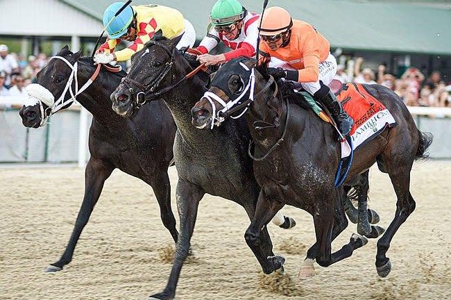Domestic Product (middle horse) wins Saturday's Tampa Bay Derby, earning a spot in the Kentucky Derby field. SV Photography, courtesy of Tampa Bay Downs