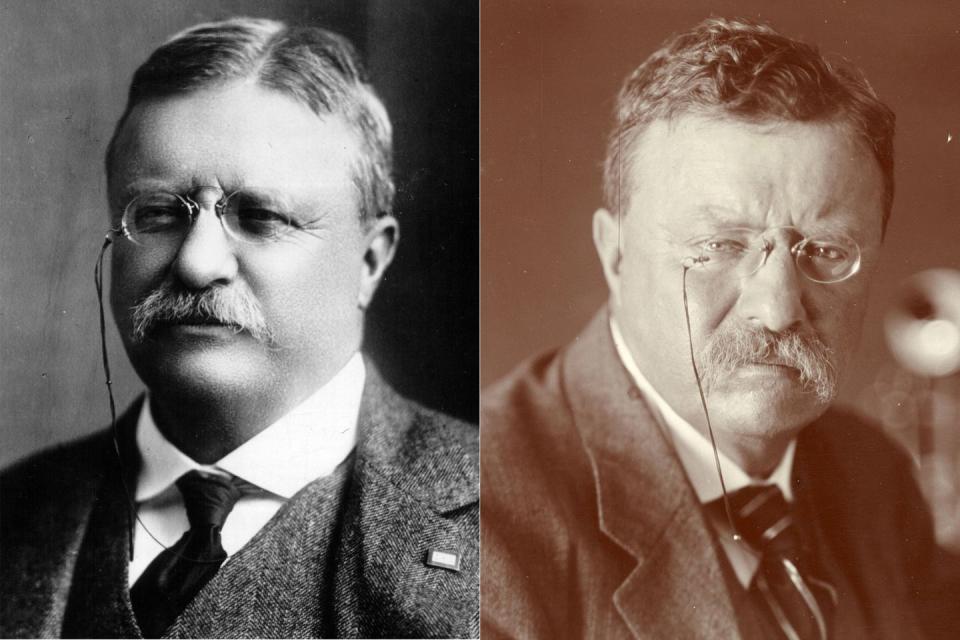 Theodore Roosevelt: 1901-1909