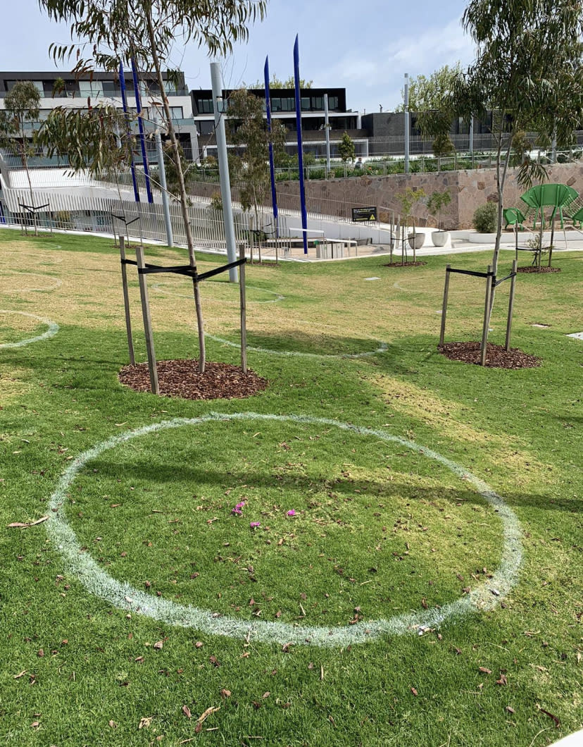 Pictured is a circle on the grass in the Chapel Street Precinct. 