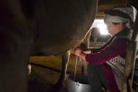 Zarina, wife of Azret Kaliyev, son of Kanat Kaliyev, milks a cow at a farm near their family house in Tash Bashat village about 24 kilometers (15 miles) southeast of Bishkek, Kyrgyzstan, Tuesday, Oct. 20, 2020. Kyrgyzstan, one of the poorest countries to emerge from the former Soviet Union, where political turmoil has prompted many people to have little respect for authorities, whom they see as deeply corrupt. (AP Photo/Vladimir Voronin)