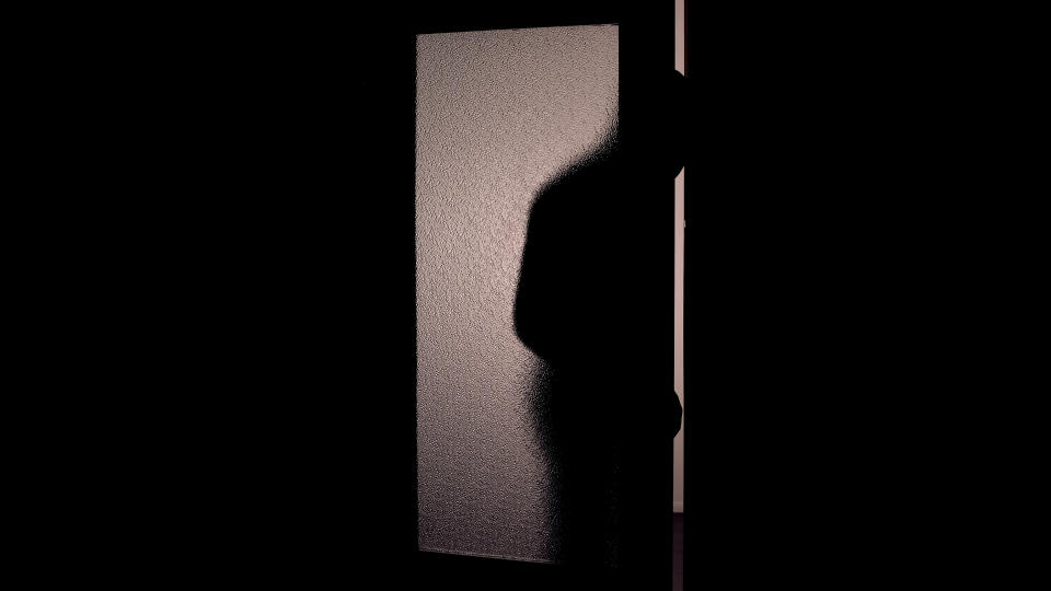 Silhouette of a person's profile cast on a frosted glass door, suggesting mystery or suspense