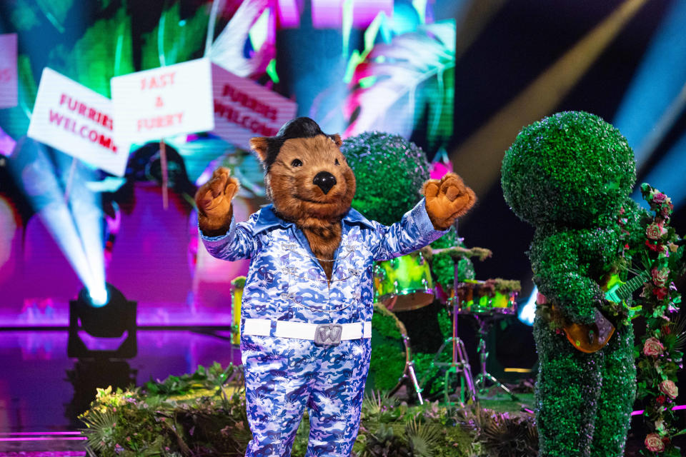 Wombat on The Masked Singer: I'm a Celebrity special