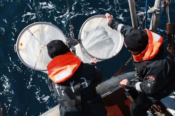 Scientists onboard Tara lower nets into the water to collect plankton and microplastics.