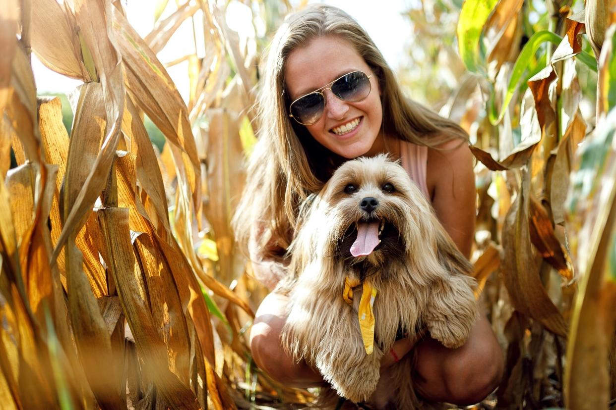 woman and dog in corn maze