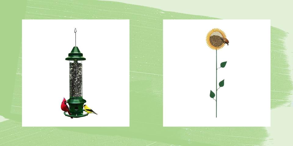 The 8 Best Bird Feeders to Fuel Your Feathered Friends