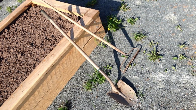 Growing 'hope' in new community garden in Lower Sackville