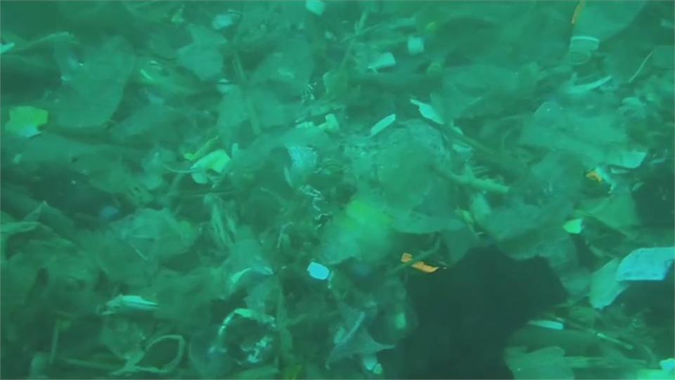 海洋志工發起淨海活動　海底驚見「流動廁所門」