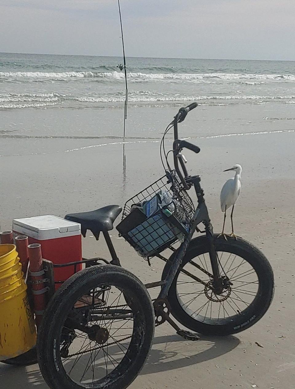 That's "Henry" the egret, camping out on Marco Pompano's bike, awaiting a possible handout.