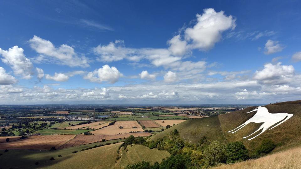 Westbury white horse carving on green hills under a blue sky