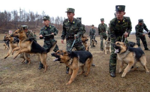Unos soldados norcoreanos entrenan con perros el 6 de abril de 2013 en un lugar sin determinar