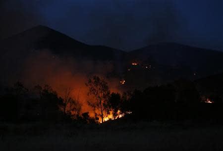 A wildfire continues to burn into the night in San Marcos, California May 14, 2014. REUTERS/Mike Blake