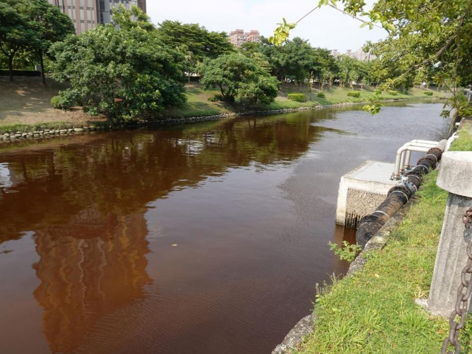 高雄市愛河出現詭異紅褐色，檢驗發現是水中「隱藻」大量繁殖。
