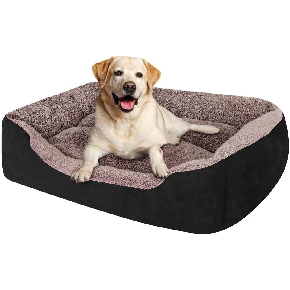 PUPPBUDD dog bed, best black friday pet deals