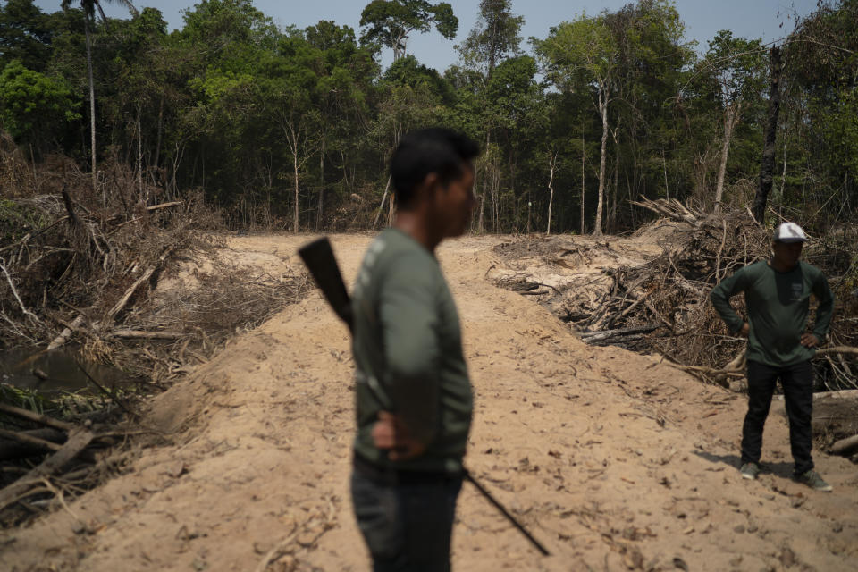 Monhire Menkragnotire, of the Kayapo indigenous community, stands where loggers opened a path to enter Menkragnotire indigenous lands on the border with the Biological Reserve Serra do Cachimbo in Altamira, Para state, Brazil, Saturday, Aug. 31, 2019. Much of the deforestation in the Brazilian Amazon is done illegally -- land grabbers burn areas to clear land for agriculture and loggers encroach on national forests and indigenous reserves. (AP Photo/Leo Correa)