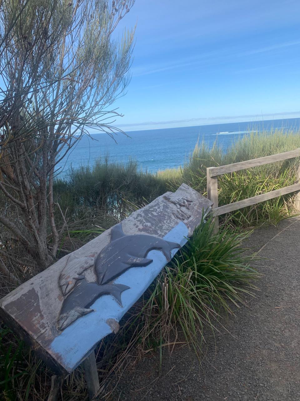 The One Track for All walking track on the north headland of Ulladulla harbour