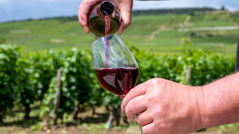 Hand pouring red wine