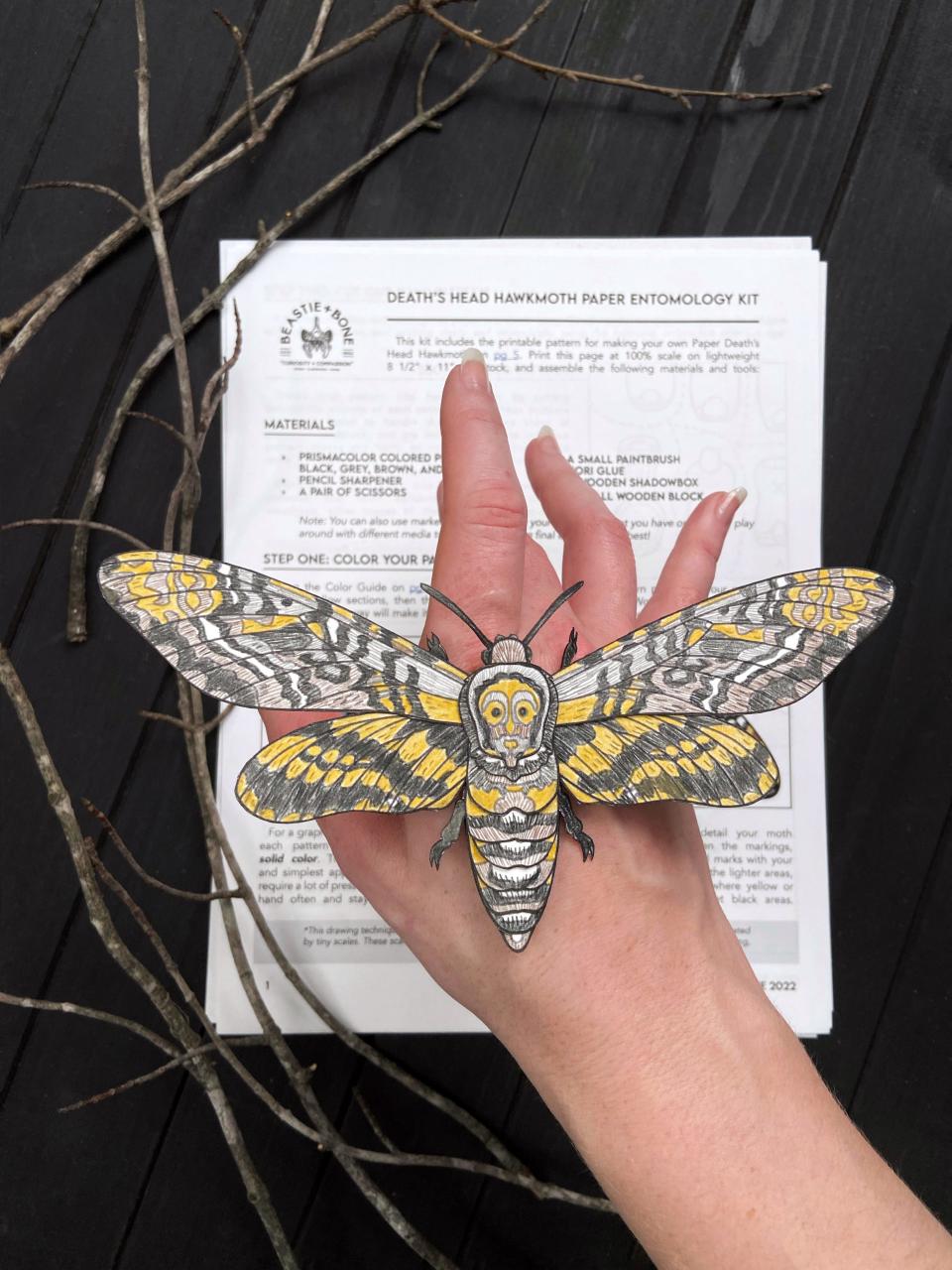 Beastie + Bone also offers a simplified paper taxidermy art kit for others wanting to create. Downloadable moth kits are available in the online shop, and the available options are the Luna moth, the Clymene moth, and the Death's Head Hawkmoth (pictured here).