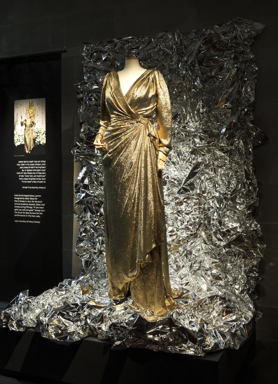 The Lanvin dress Meryl Streep wore to the 2012 Academy Awards.