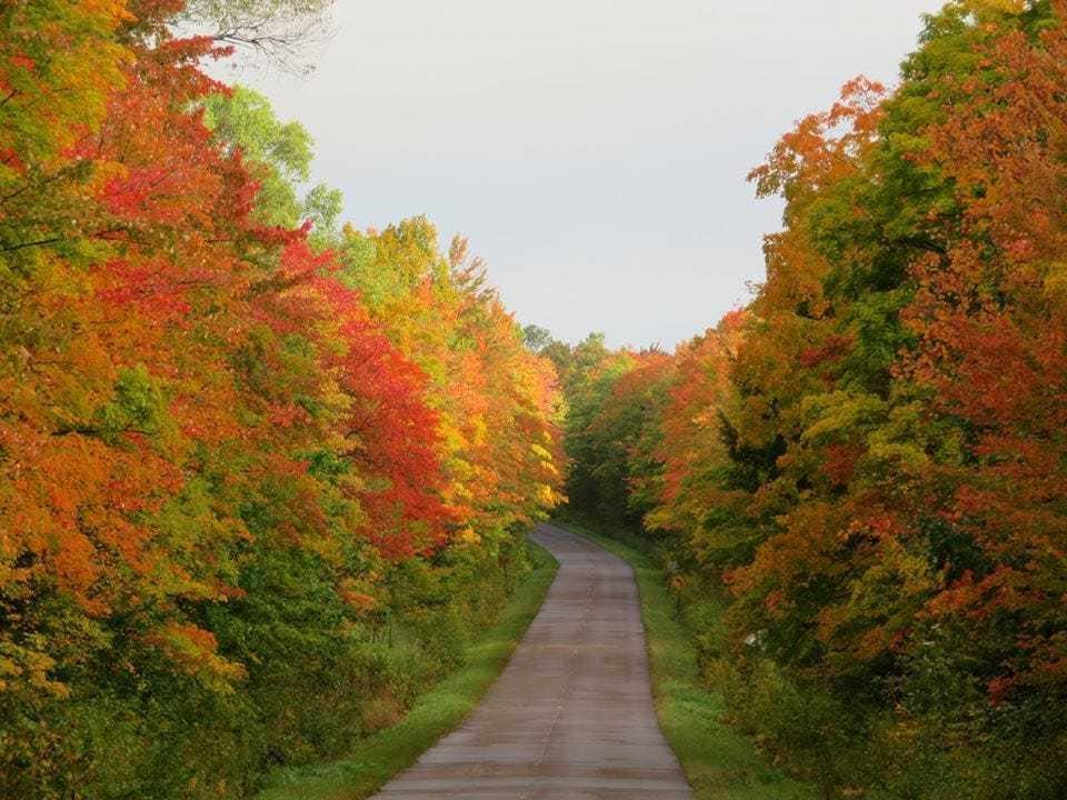 Trees in vivid color near the Porcupine Mountains in Michigan's Upper Peninsula during a previous autumn.