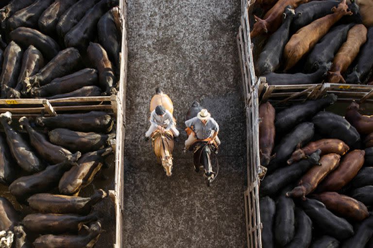 ‎Con el Mercado de Hacienda de Liniers se va parte de la historia del barrio de Mataderos