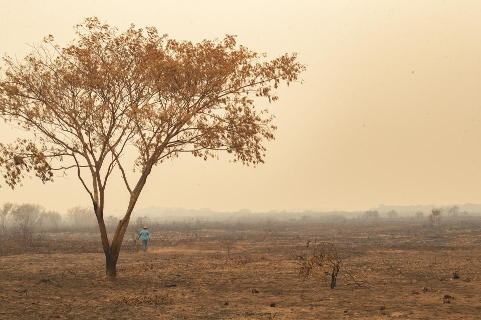 Esta imagen del 12 de septiembre de 2020 muestra una zona arrasada por incendios en Encontro das Aguas, en la zona de Pantanal cerca de Pocone, estado de Mato Grosso, Brasil. (AP Foto/Andre Penner)