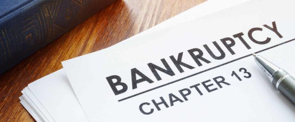 Chapter 13 bankruptcy petition and book.