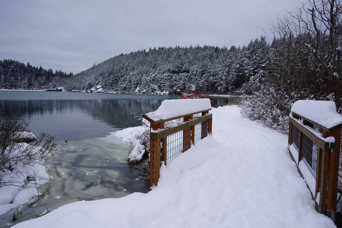 Ice forms on top of Chuckanut Bay beneath a snow-covered walking bridge Tuesday, Dec. 20, in Bellingham.