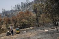 FILE PHOTO: President of beekeepers of the municipality of Istiaia Stathis Albanis, walks next to destroyed beehives, following a wildfire near the village of Voutas on the island of Evia