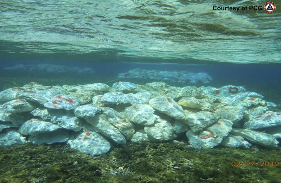 This February 27, 2019 handout photo provided by the Philippine Coast Guard shows marked giant clams in several piles made by Chinese militias at the shallow part of the Scarborough shoal, at the disputed South China Sea, the Philippine Coast Guard said. The Philippines blamed Chinese fishermen on Monday May 20, 2024 for the massive loss of giant clams in a disputed shoal fiercely guarded by Beijing's coast guard in the South China Sea and demanded an international inquiry to determine the extent of environmental damage in the far-flung fishing atoll. (Philippine Coast Guard via AP)