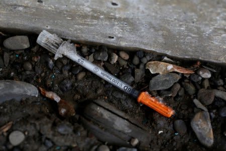 FILE PHOTO - A discarded syringe is seen under a bridge on Lester Avenue in Johnson City, New York, U.S., April 7, 2018.  REUTERS/Andrew Kelly