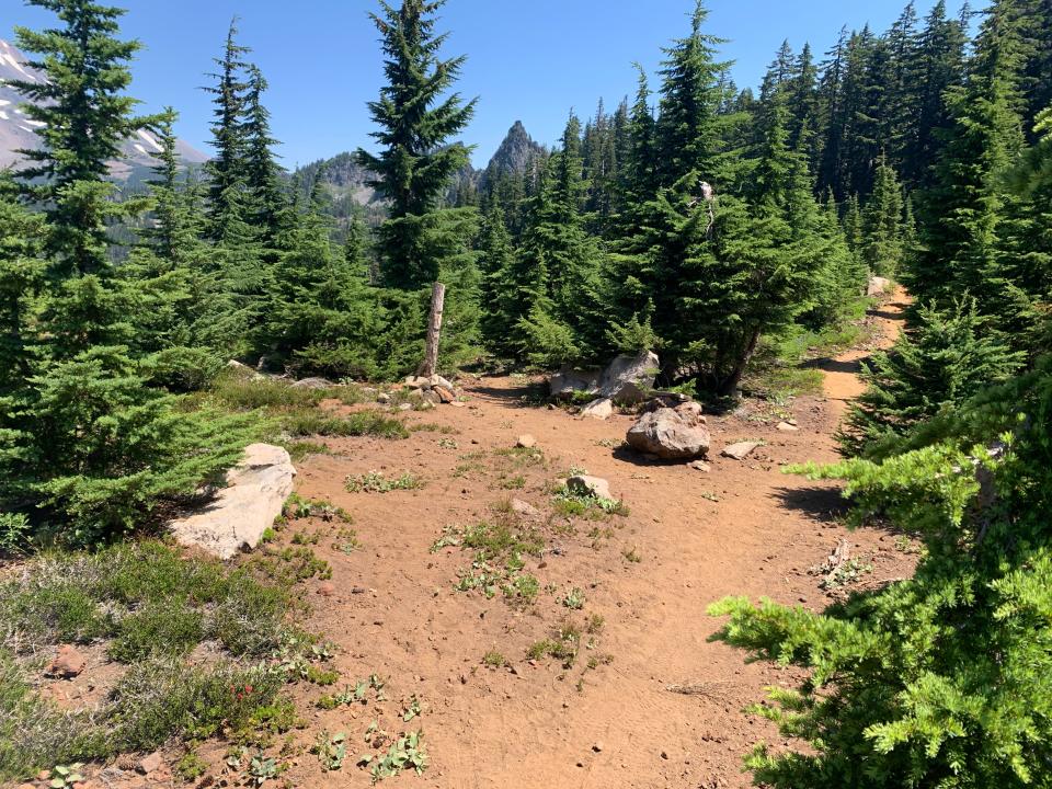 An unmarked and confusing junction. The unofficial trail on the left drops down into Hunts Cove, while the trail on the right reaches the PCT trail junction.