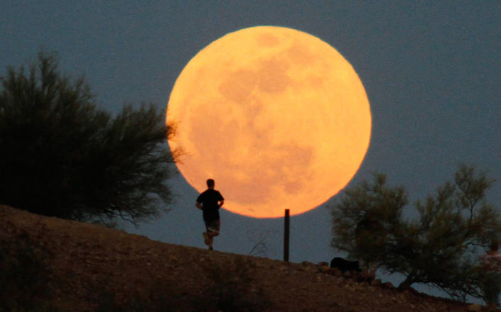 A runner makes his way along a trail on a butte in front of the "supermoon" at Papago Park in Phoenix, Arizona May 5, 2012. A "supermoon" will light up Saturday's night sky, May 5, in a once-a-year cosmic show, overshadowing a meteor shower from remnants of Halley's Comet, the U.S. space agency NASA said. The Moon will seem especially big and bright since it will reach its closest spot to Earth at the same time it is in its full phase, NASA said.