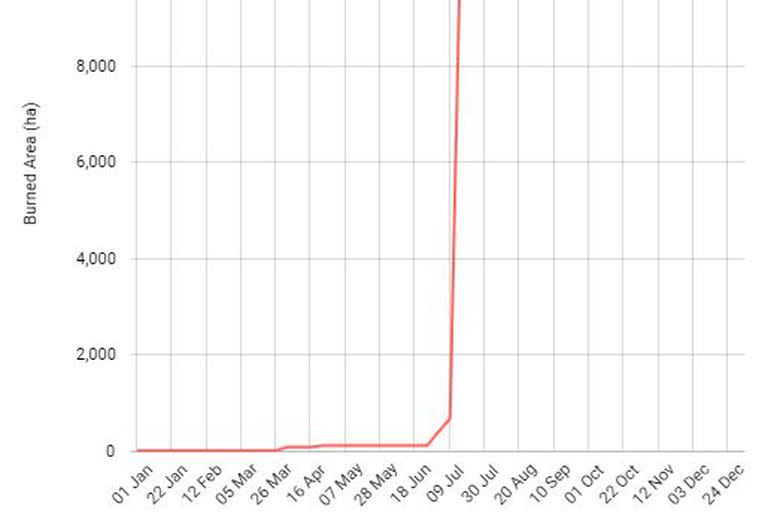 El gráfico de áreas quemadas acumulativas semanales de EFFIS muestra un aumento exponencial en las últimas semanas en Grecia.