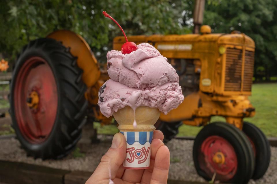 Black cherry ice cream at Calder Dairy and Farm in Carleton, Mich., on July 15, 2023.