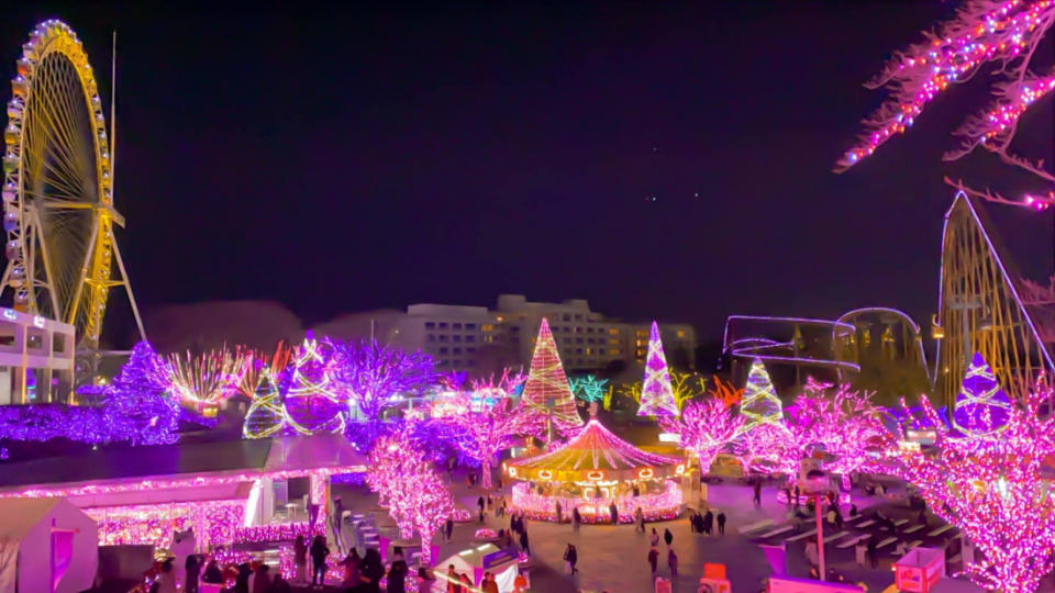 東京冬季浪漫點燈之紅葉名所