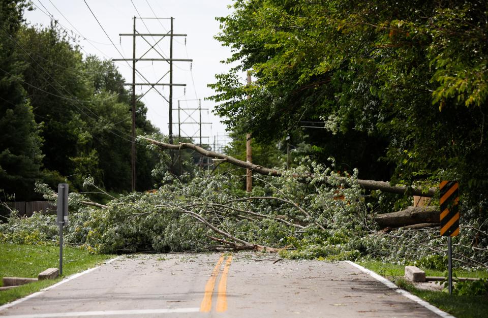 A tree block south Charleston Avenue on Monday, July 31, 2023 after a late night storm downed trees and power lines all over the area.