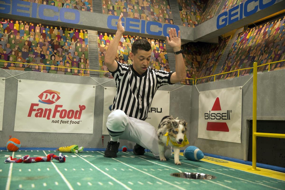 How to watch the 2024 Puppy Bowl live on Sunday Time, channel